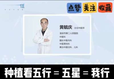 中药材淫羊藿怎么种？听专家一次讲明白！不挑地块好管理，耐寒耐旱省心省力，新手也能轻松上手，药用价值高、市场需求稳，妥妥的增收好品种～ 从生长习性到采收要点，干货满满无废话，种植疑问直接问，一对一答疑解
