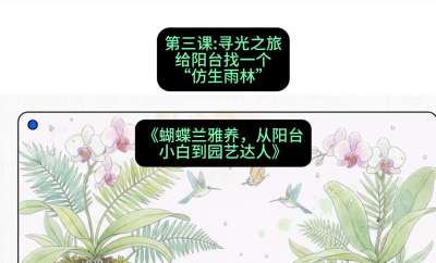 第三节：寻光之旅：给阳台找一个&ldquo;仿生雨林&rdquo;，课程：《蝴蝶兰雅养六讲：从阳台小白到园艺达人》#识农AI