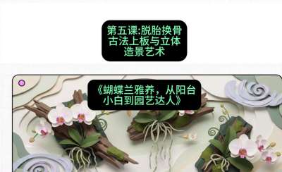第五节：脱胎换骨：古法上板与立体造景艺术，课程：《蝴蝶兰雅养六讲：从阳台小白到园艺达人》#识农AI